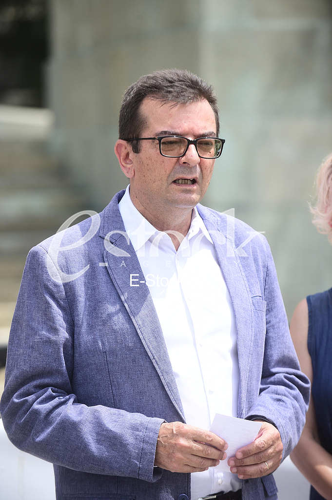 Janko Veselinovic