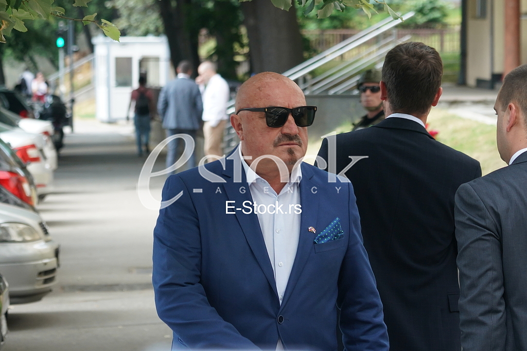 Goran Petronijevic