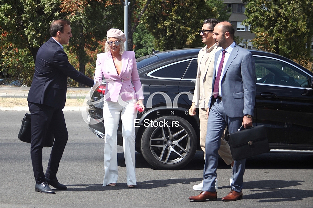 Jelena Karleusa Zoran Birtasevic advokati