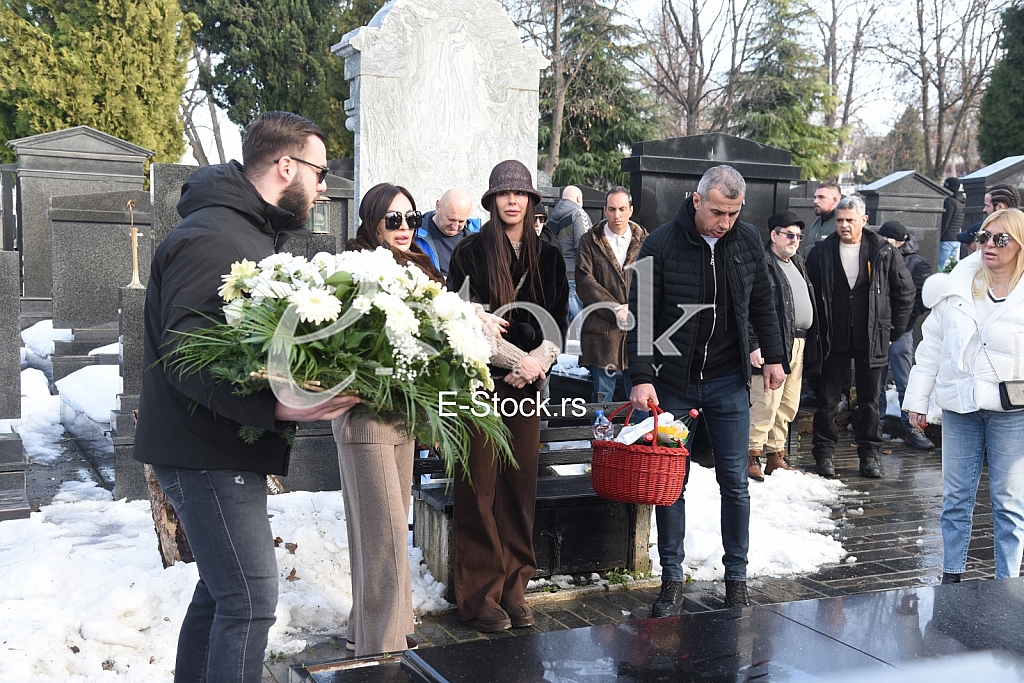 Svetlana Ceca Raznatovic