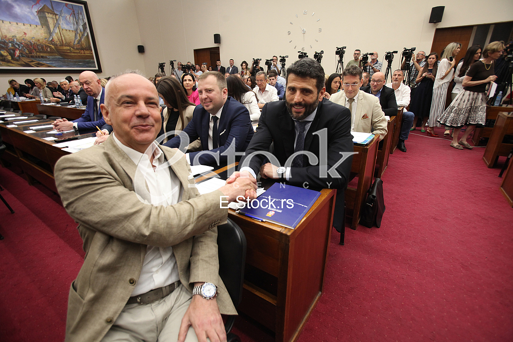 Zoran Radojicic, Aleksandar Sapic