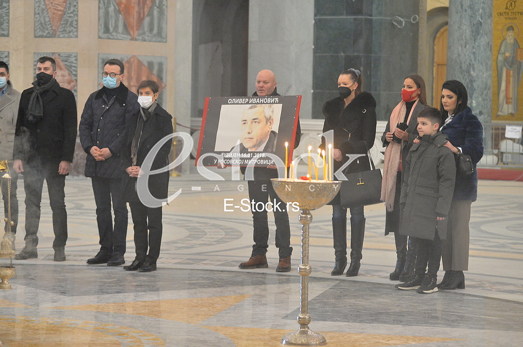 Zoran Djordjevic, Petar Petkovic, Ana Brnabic, Simo Spasic, Milena Ivanovic i Bogdan Ivanovic