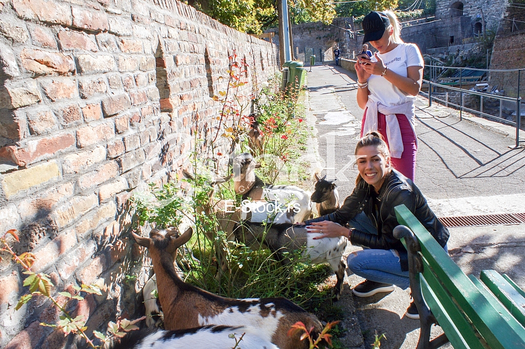 Milijana Bozic Ilijana Vagic Milijana Bozic Ilijana Vagic