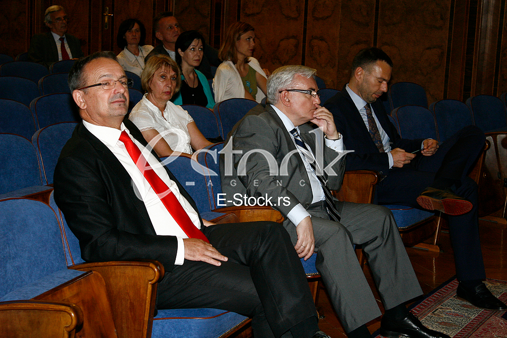 sanu, zdravstvo srbije, svecana sala