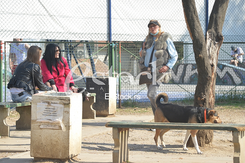 Koronavirus Koronavirus