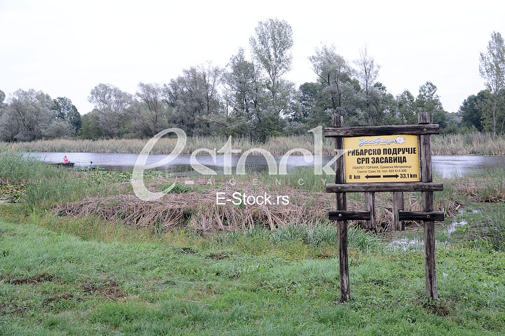 Zasavica, special nature reserve.