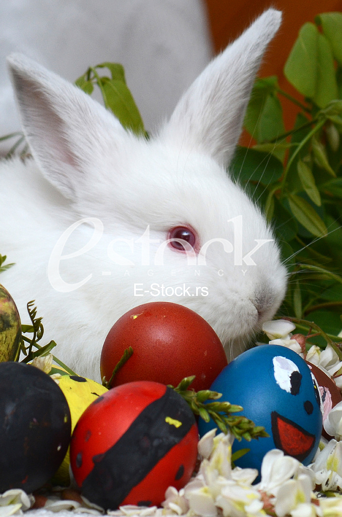 Easter eggs Easter eggs