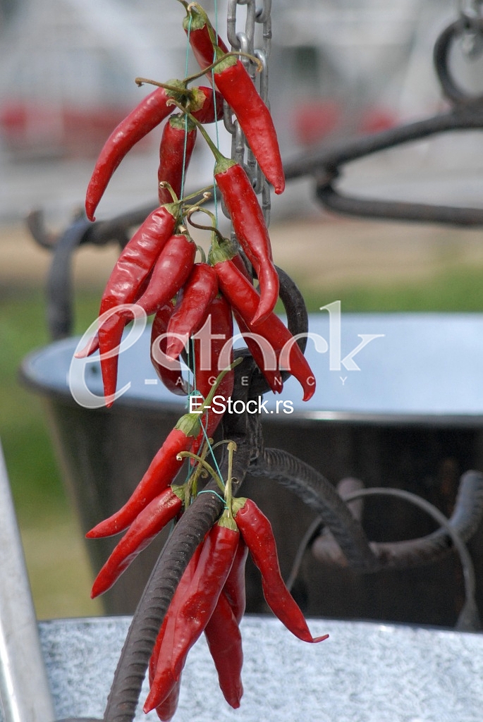  food preparation