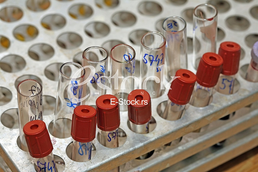 Laboratory Laboratory