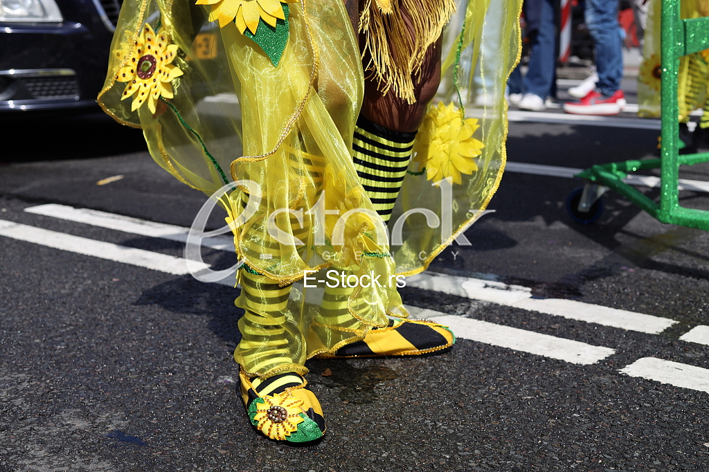 Rotterdam Summer Carnival Street Parade