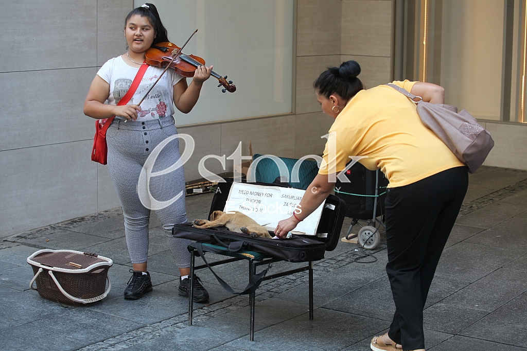 Vrucina u Beogradu Vrucina u Beogradu