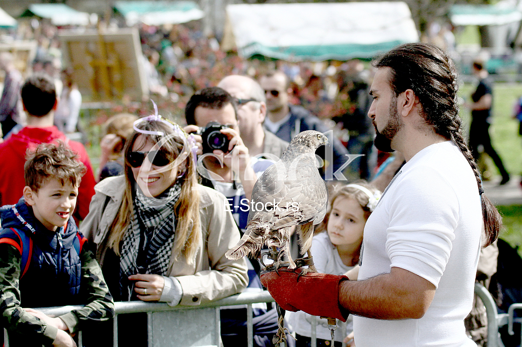 Knight Fest 2018