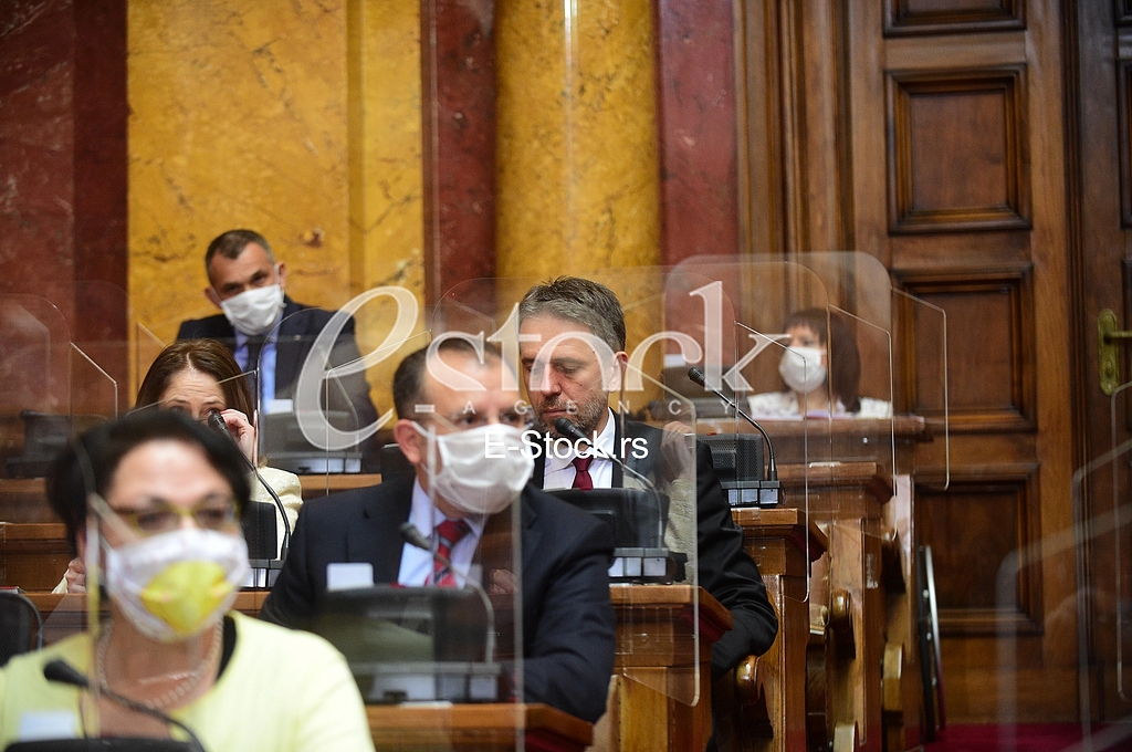 Nenad Konstantinovic, Sasa Radulovic