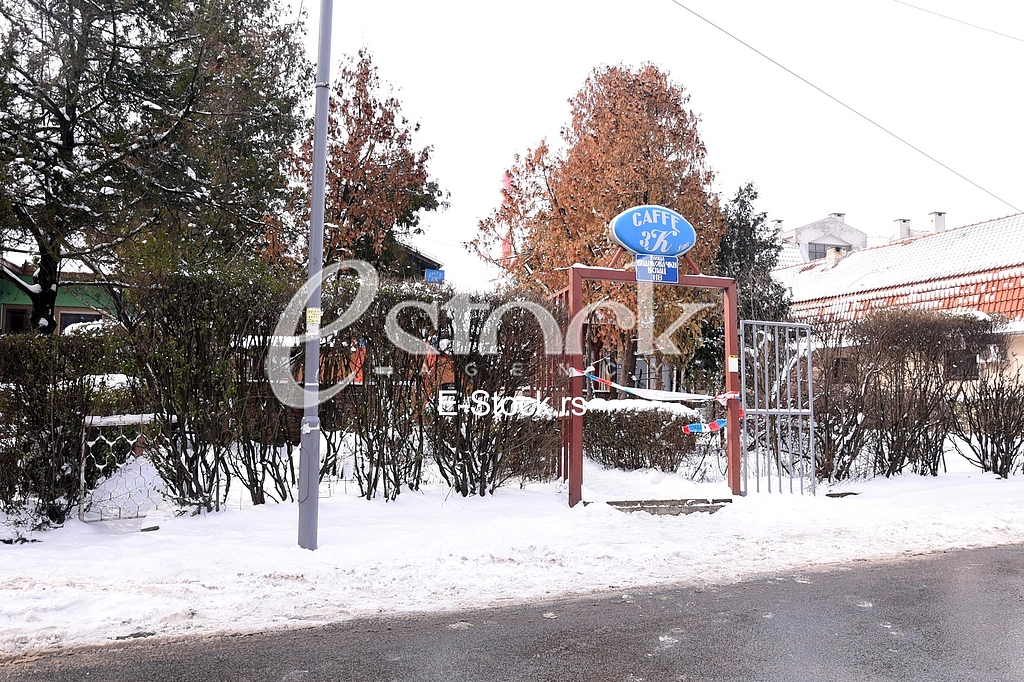 winter