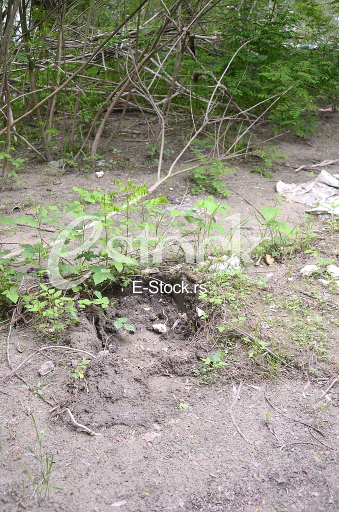 Place where he found the corpse of a Chinese citizen