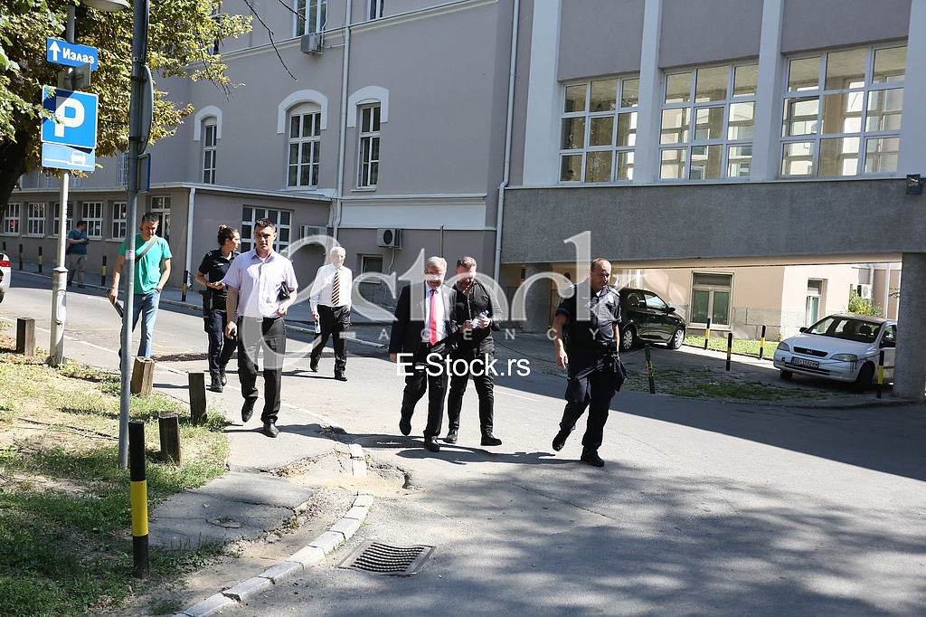 Dragomir Karic Simon de Karic