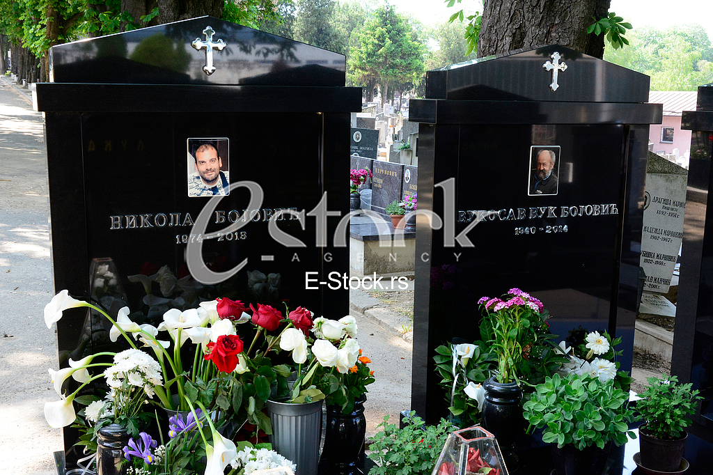 Novo groblje cemetery, grave of Nikola Bojovic