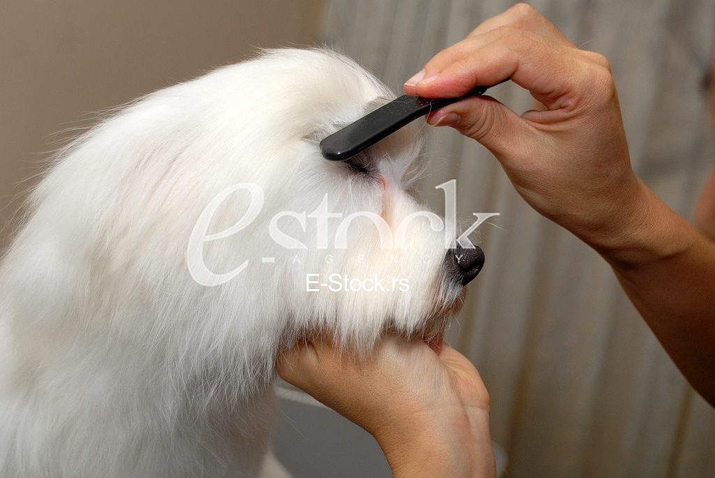Grooming