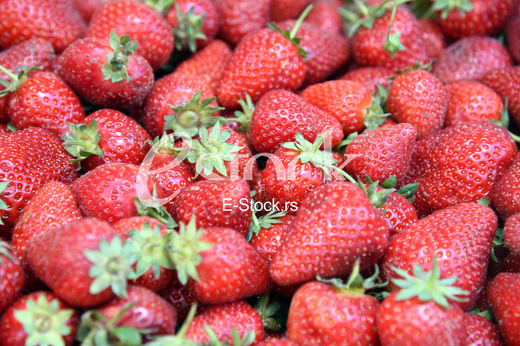 Market