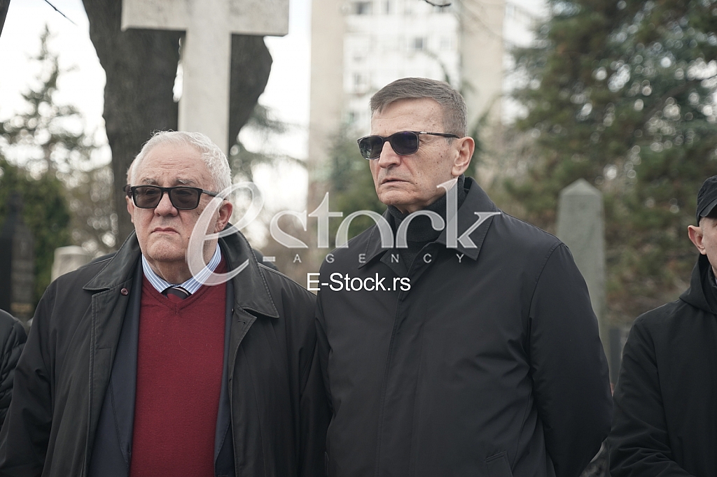 Vladimir Kostic i Nebojsa Bradic