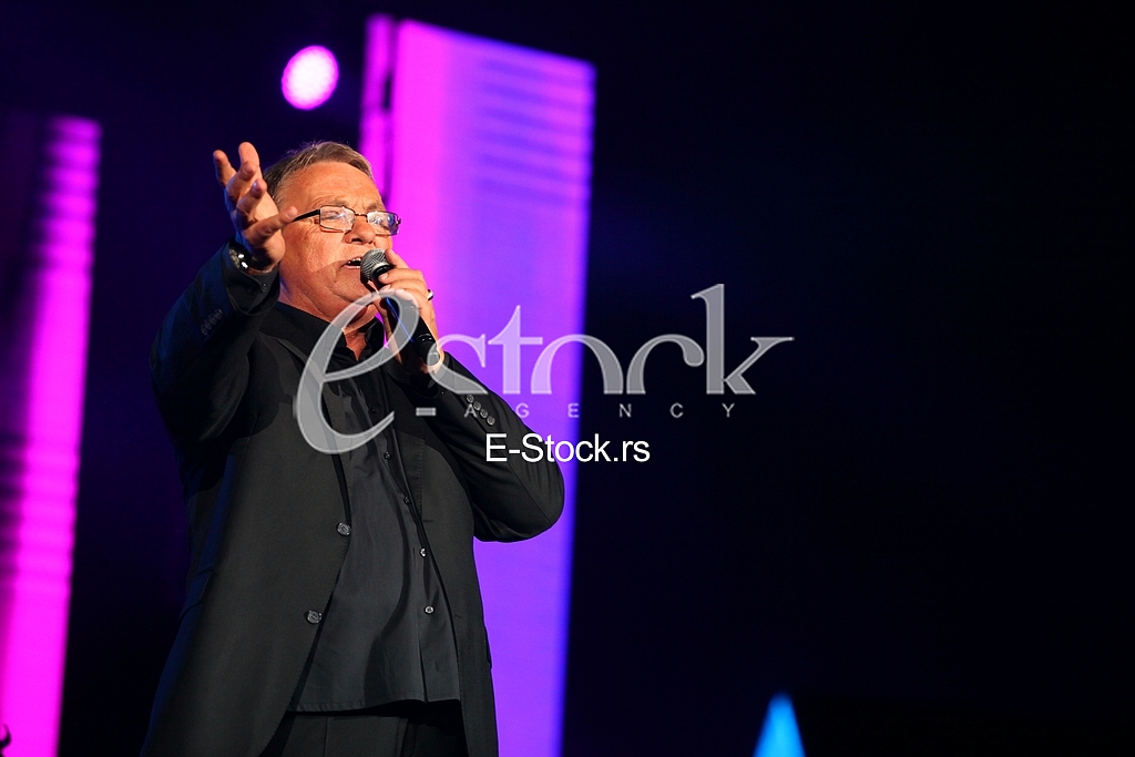Zoran Kalezic Concert