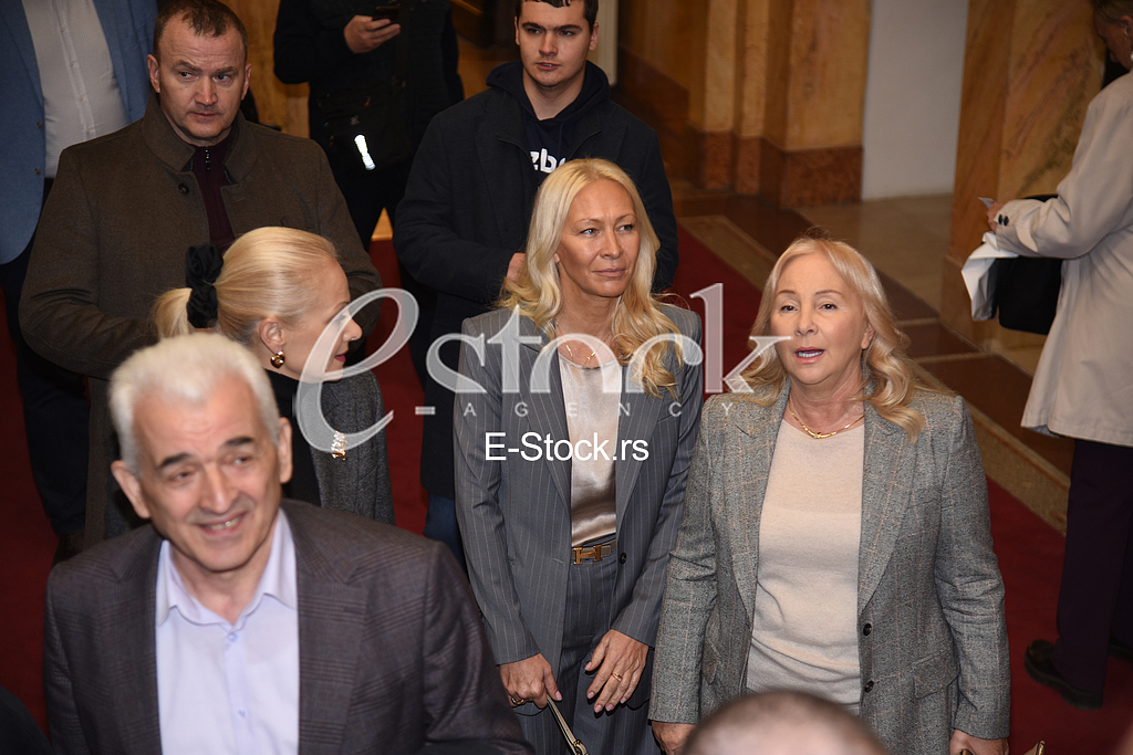 Ilda Goca Sanela Saulic