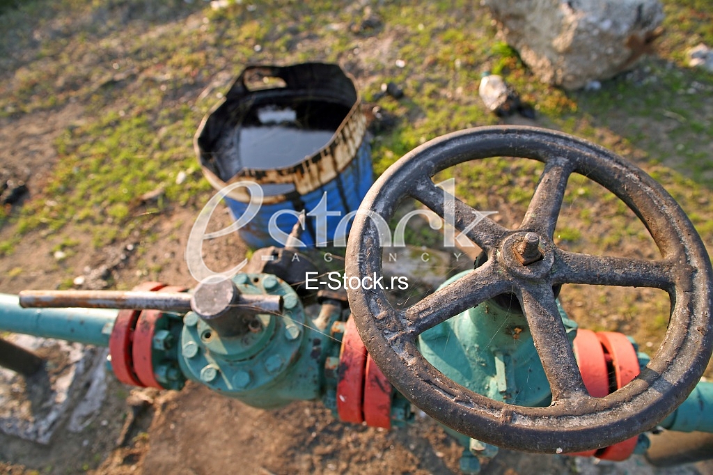Oil