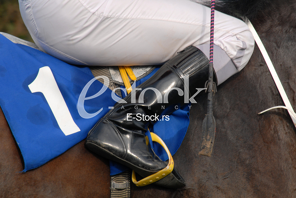 Ljubicevo Equestrian Games

