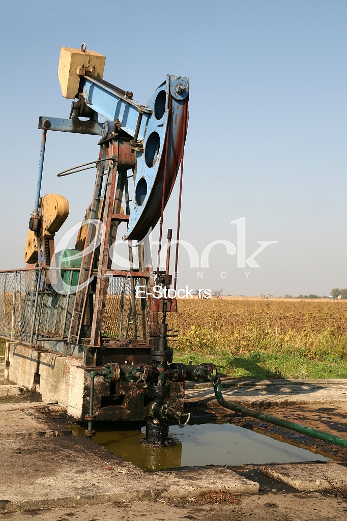 Oil