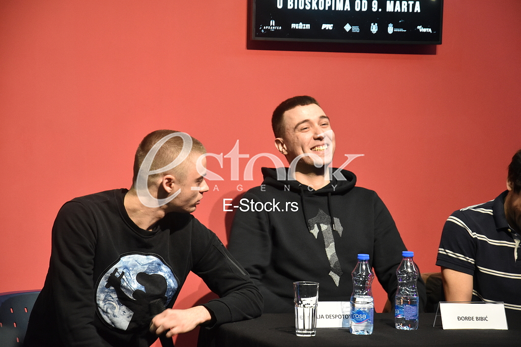 Relja Despotovic, Djordje Bibic