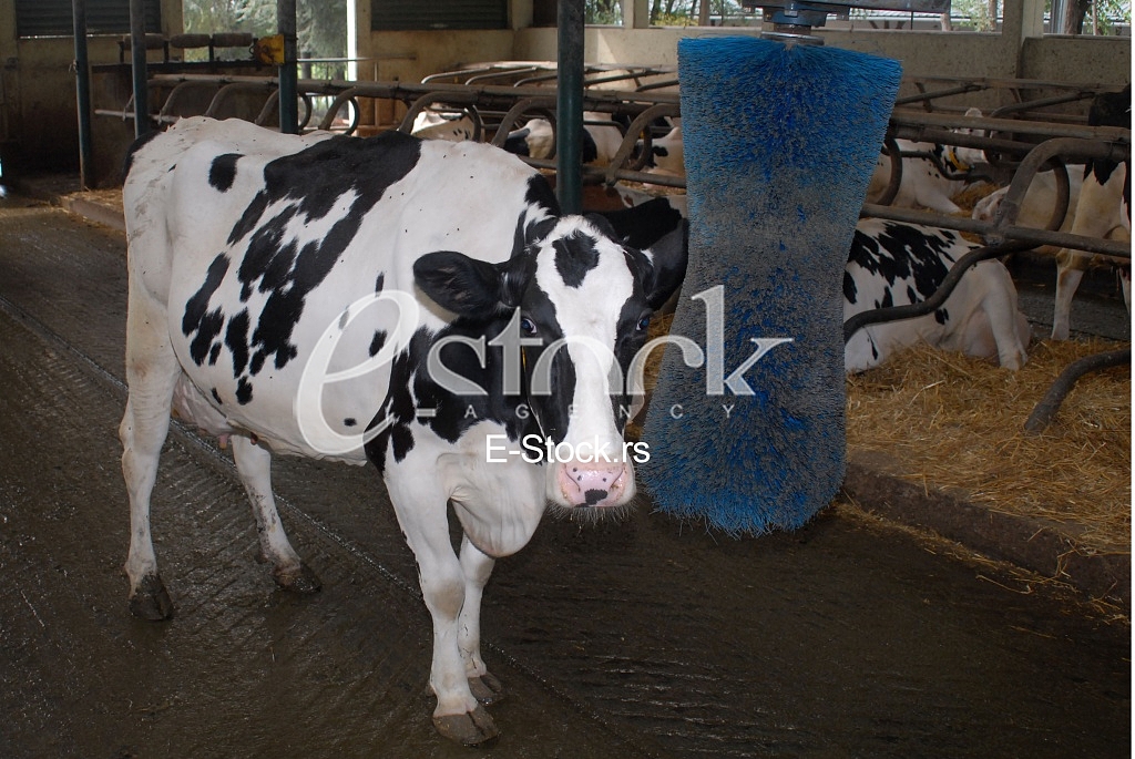  Balassa farm