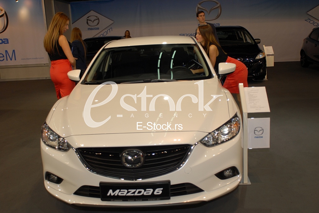 The Car Show