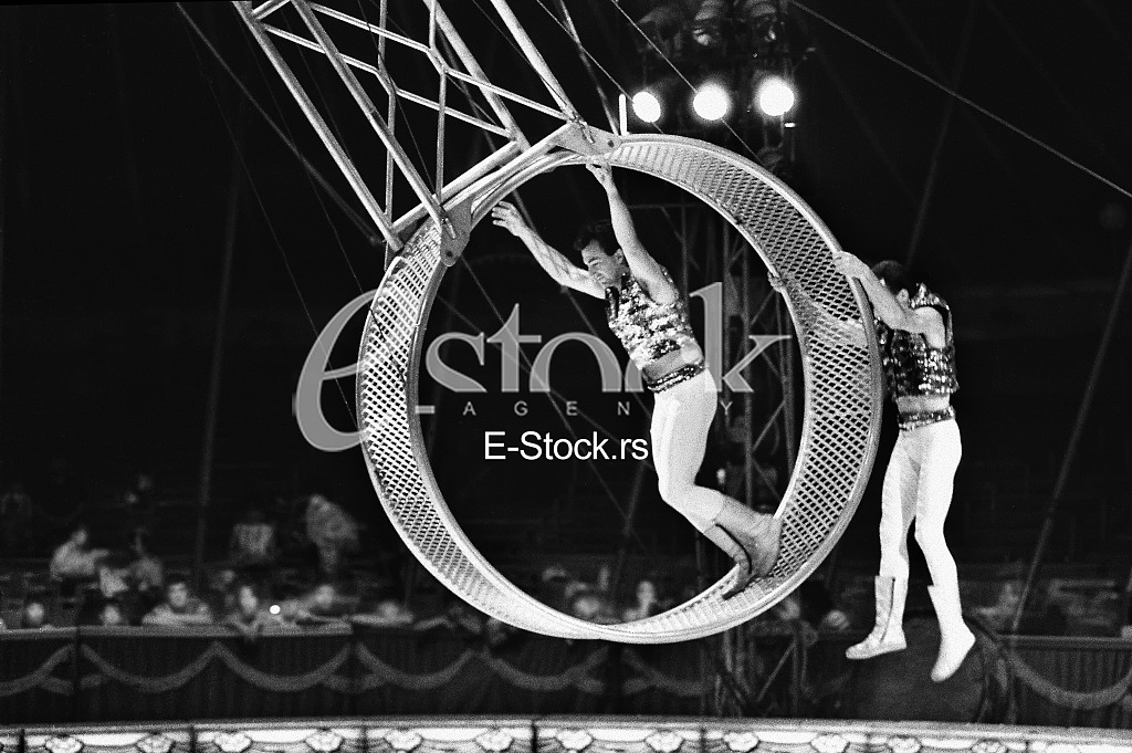Circus