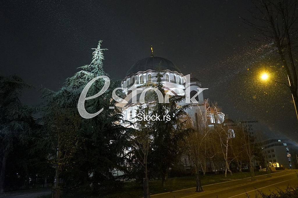 Koronavirus setnja ljubimca