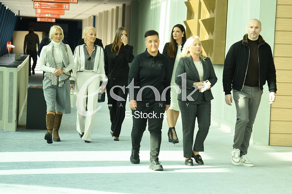 Sanela Ilda Goca Sauli Aleksandra Prijovic Marija Serifovic Aca Sofronijevic