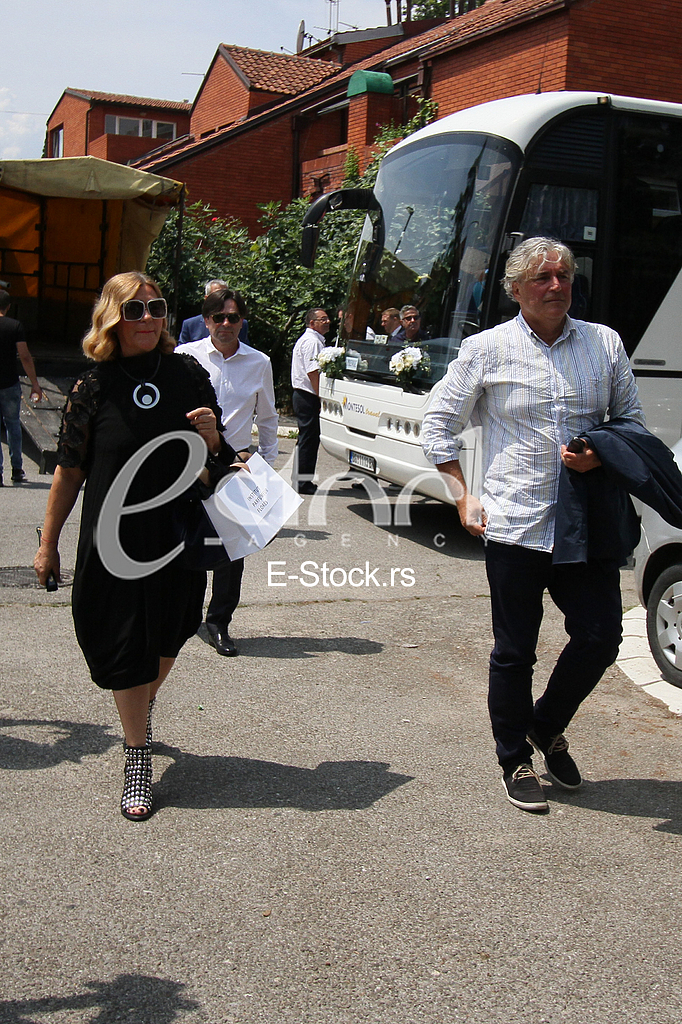 Zivoinovic i Projovic svadba