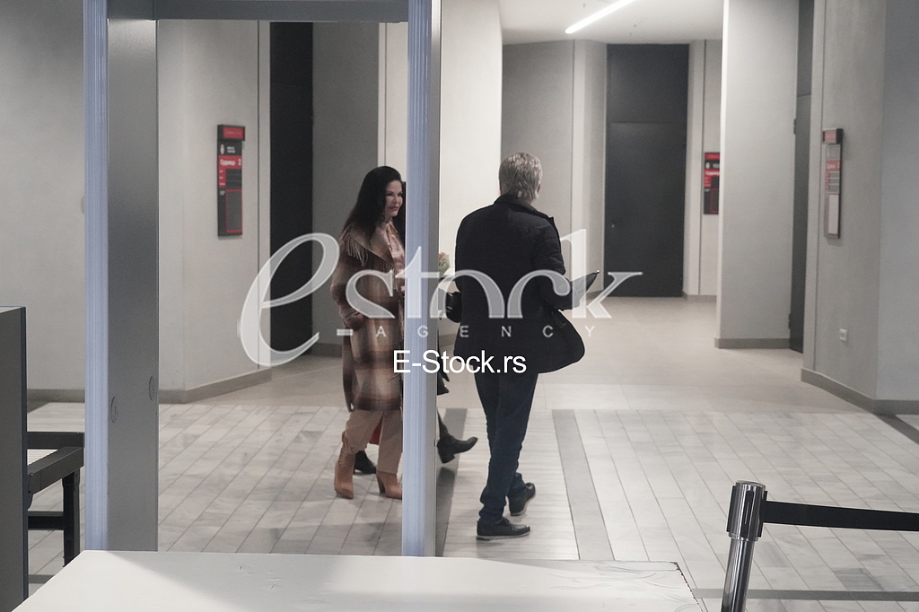 Miroslav Ilic i Mirjana Antonovic