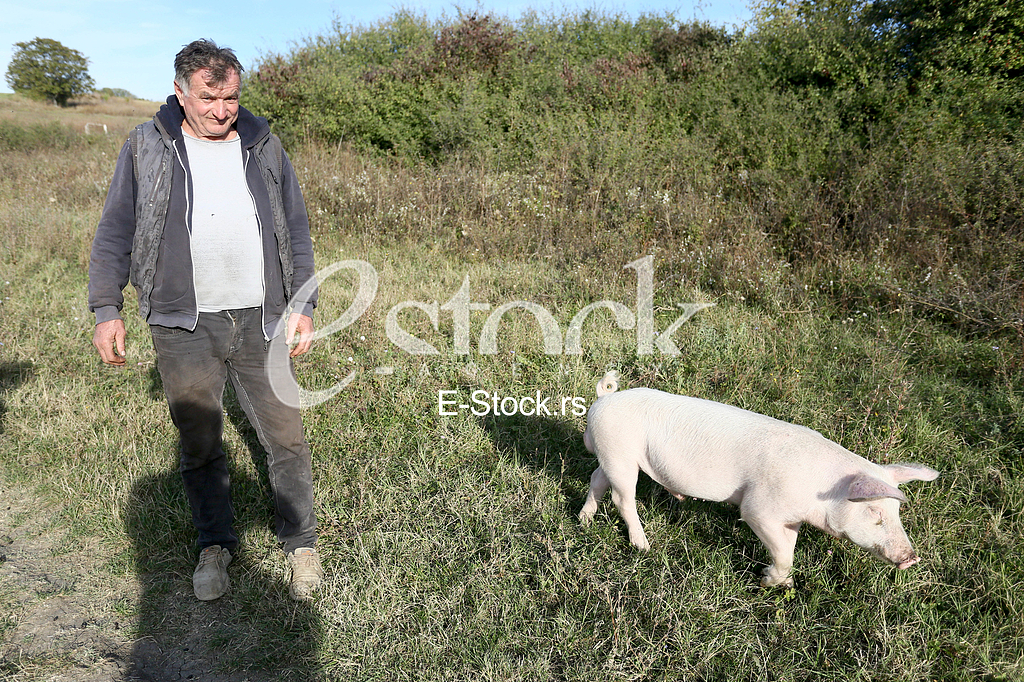 Staleta Djuric
