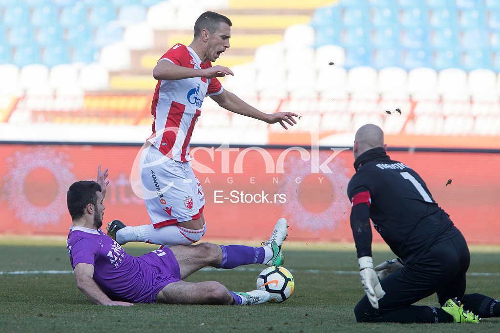 CRVENA ZVEZDA vs JAVOR IVANJICA