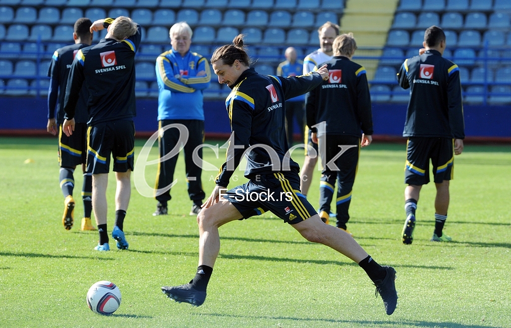 Training of Sweden national football