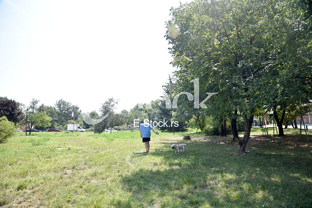 Suicide on Banjica