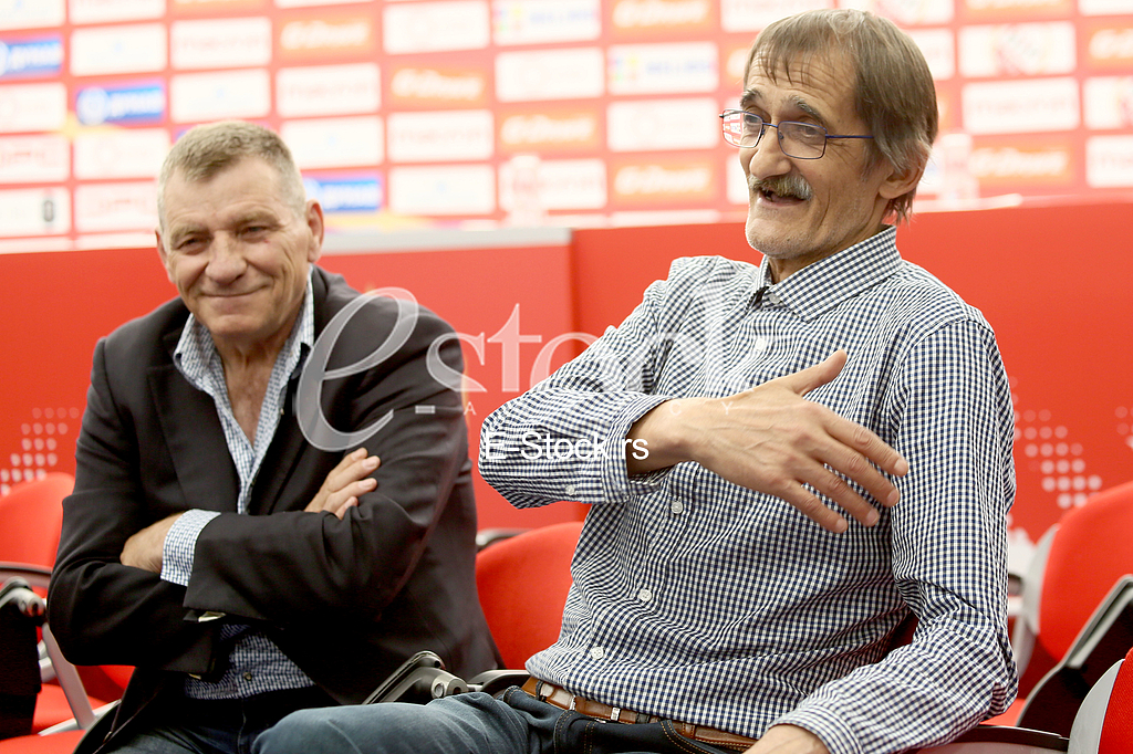 Milos Sestic Zdravko Borovnica