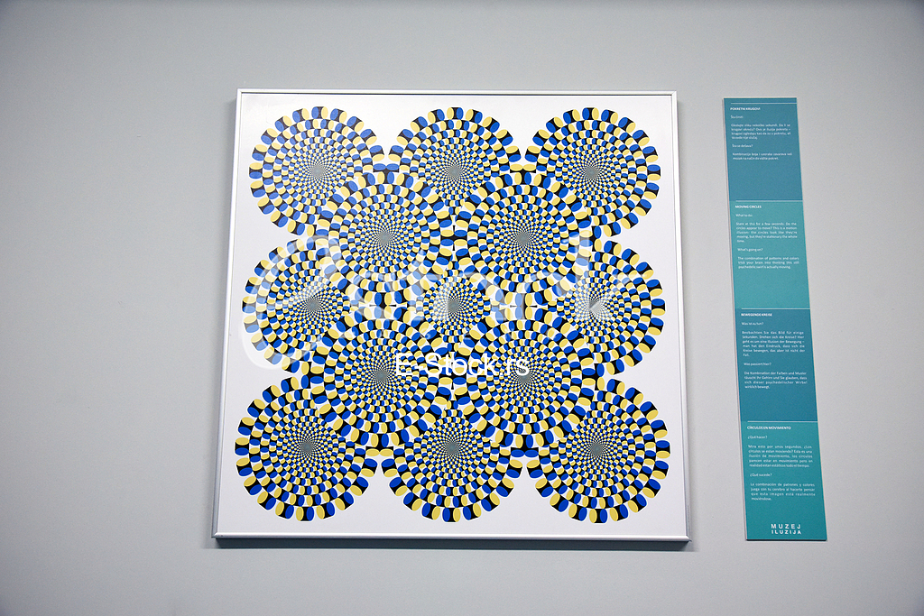 Museum of illusions







