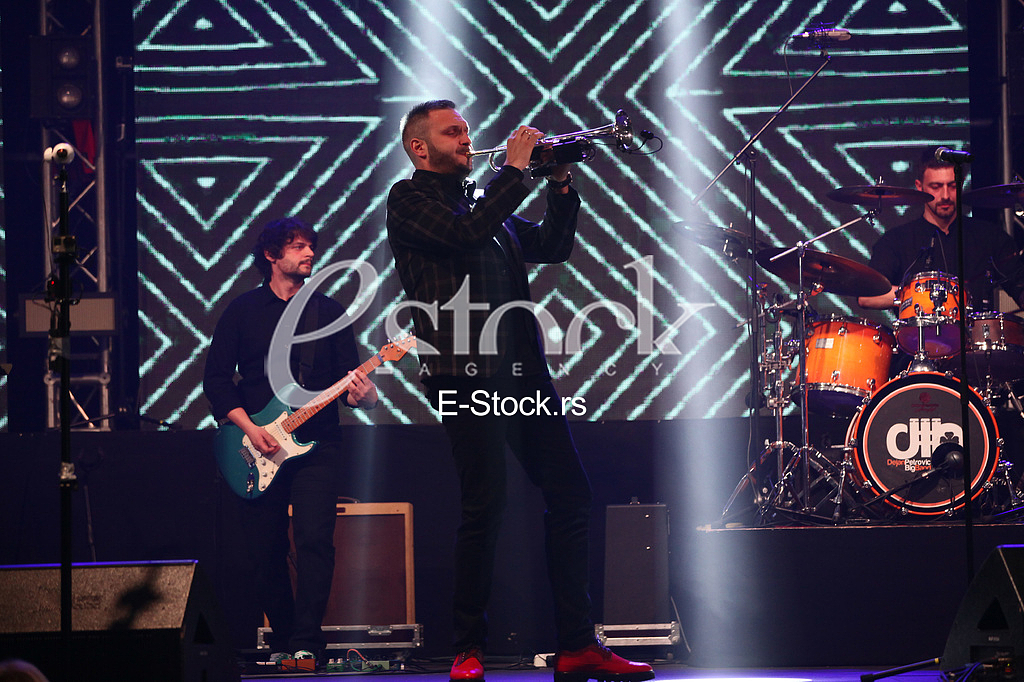 Koncert Dejan Petrovic BIBAD,Expocentar.