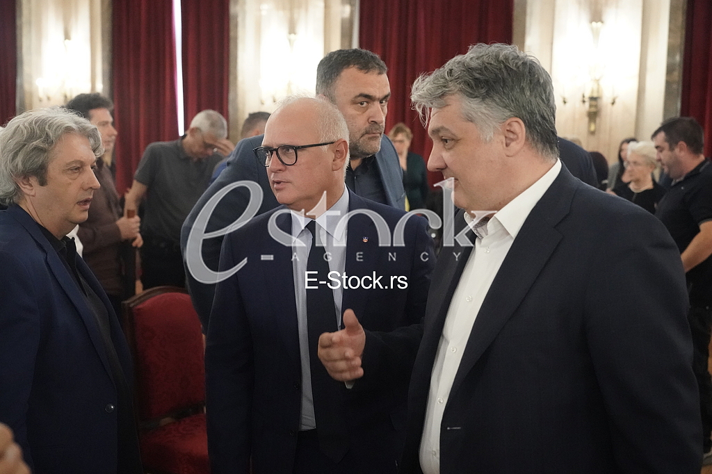 Mmilomir Maric, Goran Vesic i Vladimir Lucic