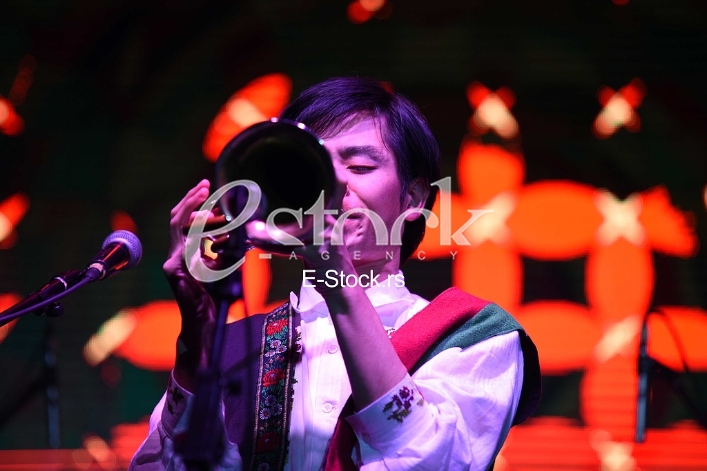 Japalkan_muzicka_grupa_photo_e_stock-Katarina Cvijovic