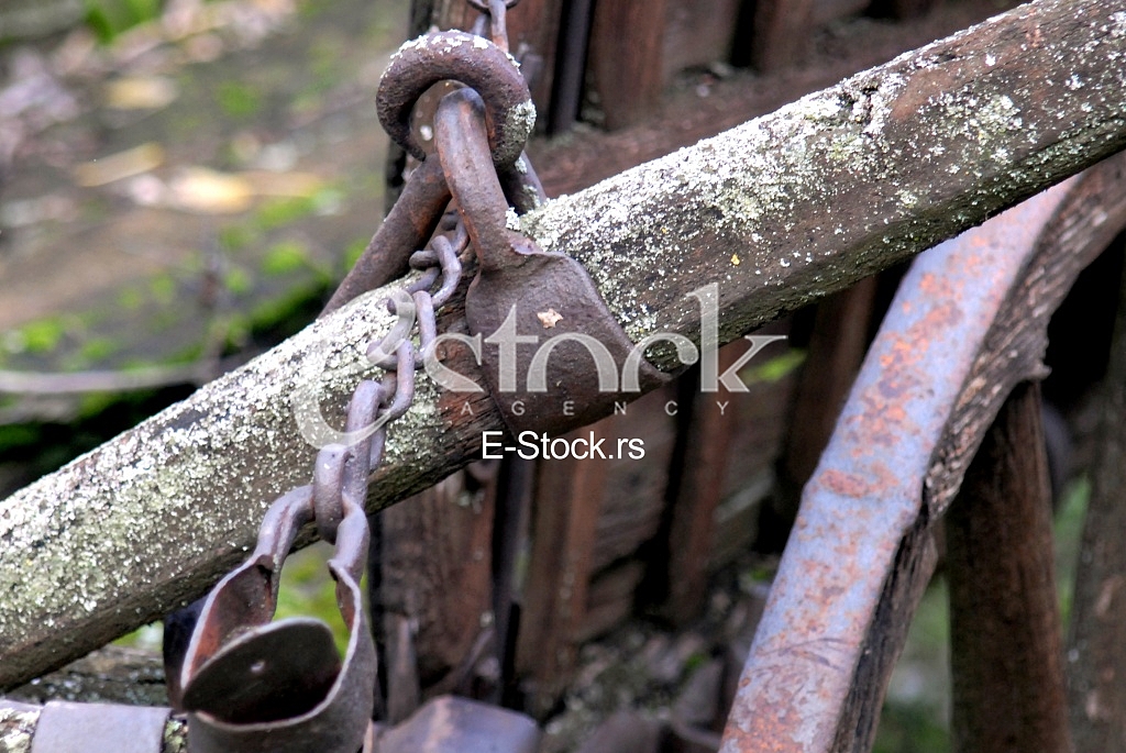 Wood