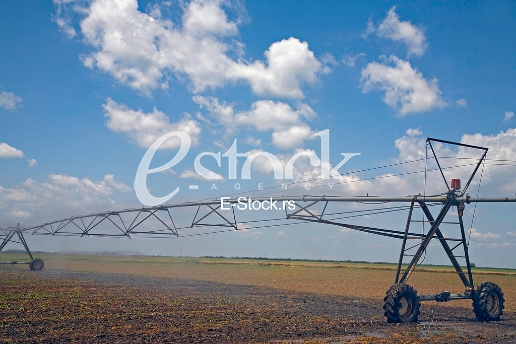 Agriculture