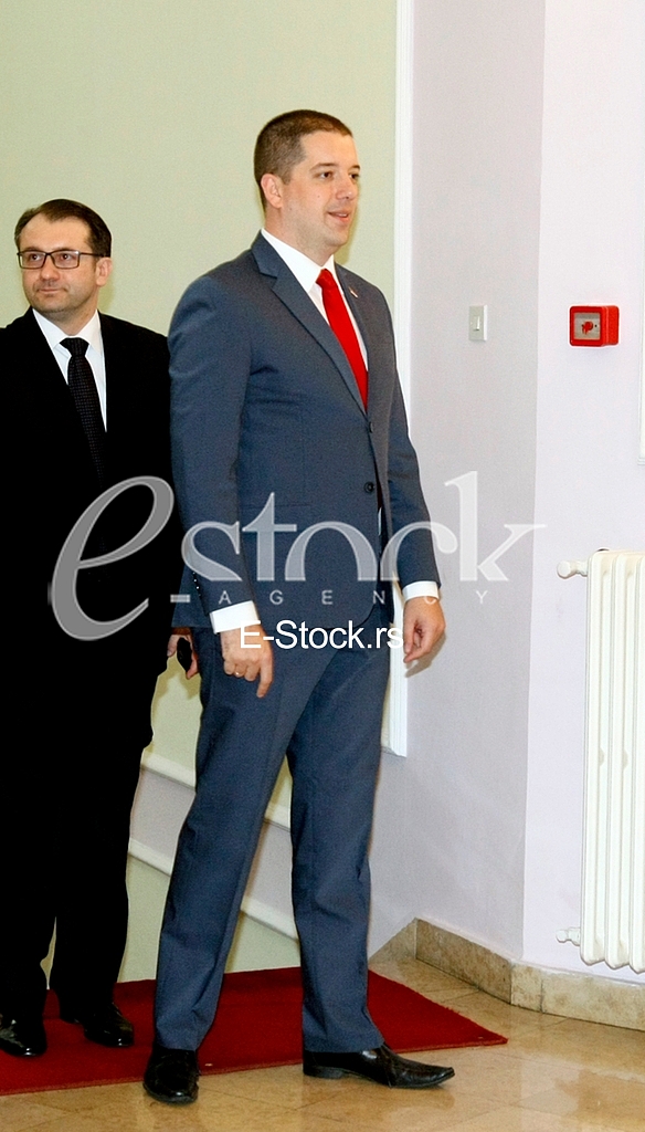 Serbian Army Day