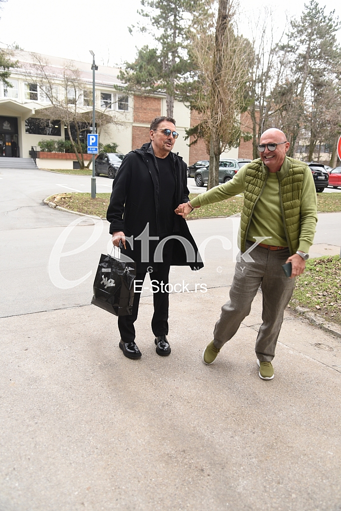 aleksandar milic mili  dragan kojic keba